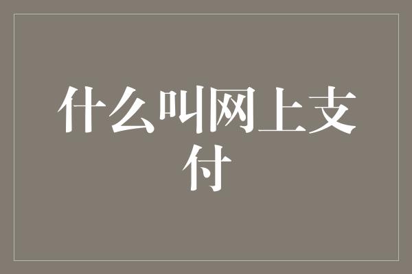 什么叫网上支付