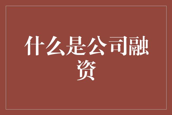 什么是公司融资