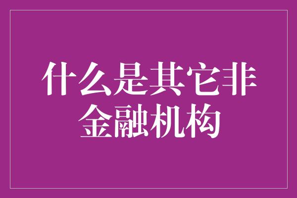 什么是其它非金融机构