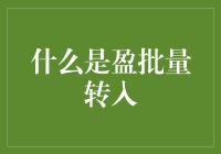 盈批量转入：提升财务处理效率的利器