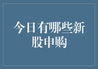 今日新股申购指南：把握成长机遇