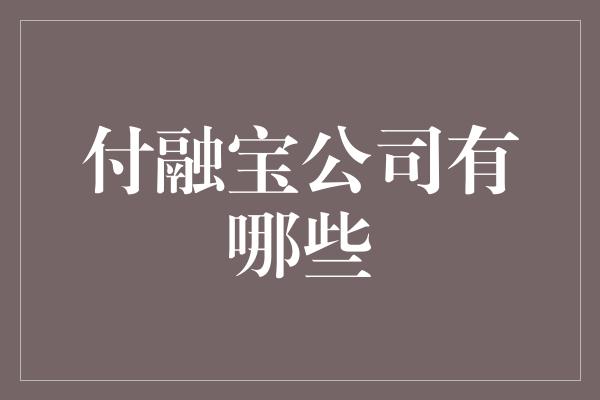 付融宝公司有哪些