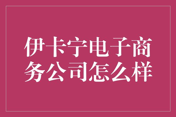 伊卡宁电子商务公司怎么样