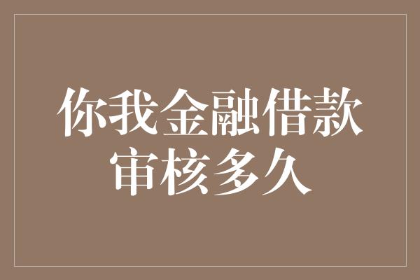 你我金融借款审核多久