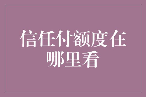 信任付额度在哪里看