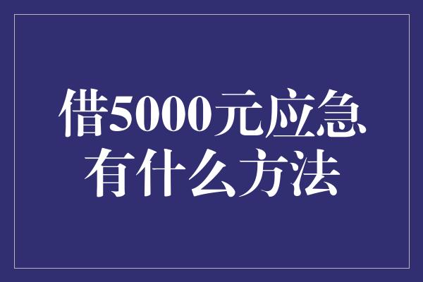 借5000元应急有什么方法