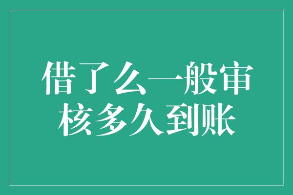 借了么一般审核多久到账