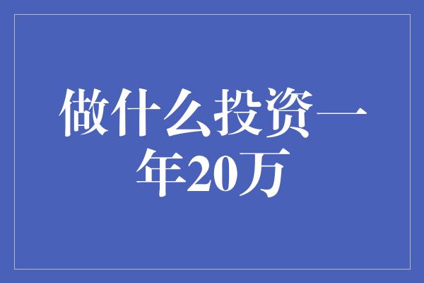 做什么投资一年20万