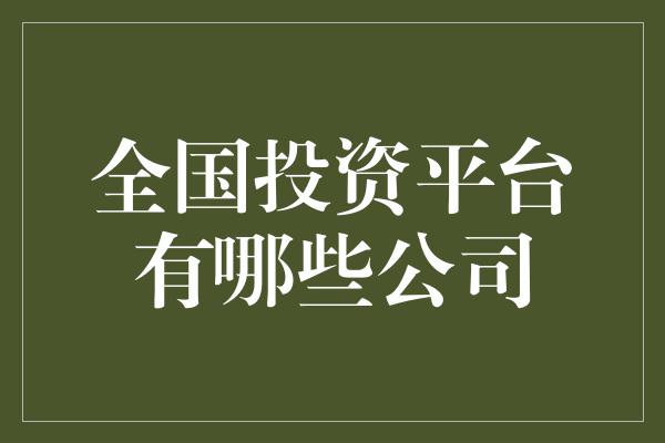 全国投资平台有哪些公司