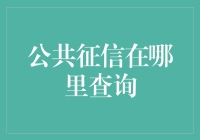 如何高效查询公共征信：一份详尽指南