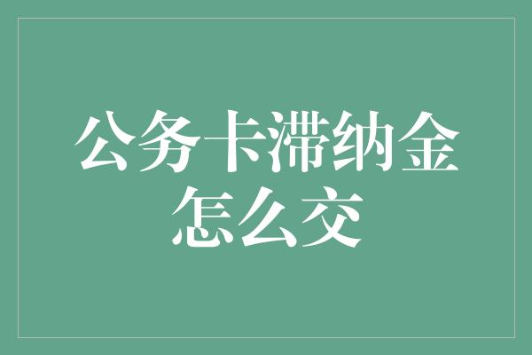 公务卡滞纳金怎么交