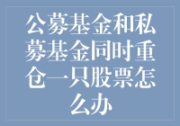 公募基金与私募基金同时重仓同一只股票：策略与风险