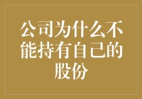 公司为何不宜持有自身的股份？