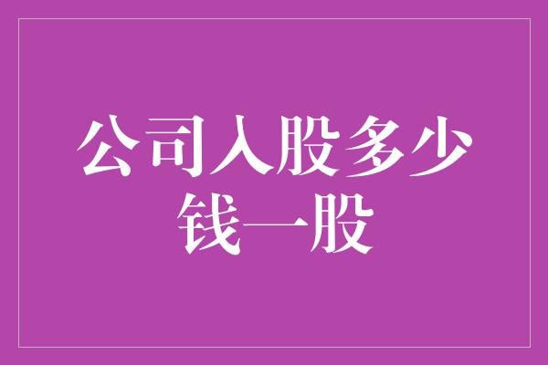 公司入股多少钱一股