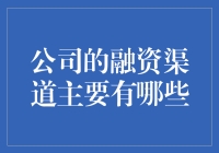 公司如何开拓多元化的融资渠道？