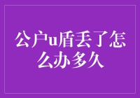 公户U盾丢失了该怎么办？多久能解决？