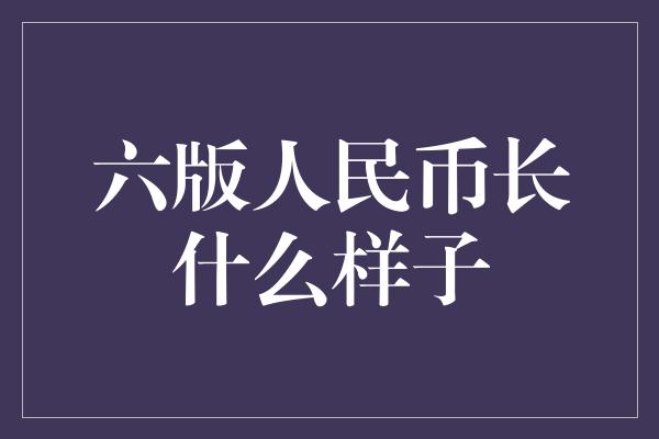 六版人民币长什么样子