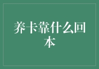 养卡周转资金链：深度解析养卡回本策略