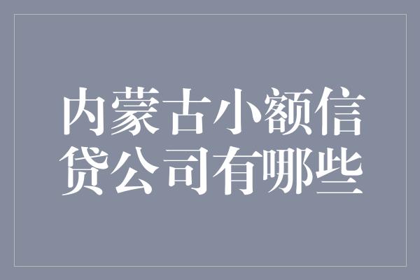 内蒙古小额信贷公司有哪些