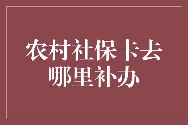 农村社保卡去哪里补办