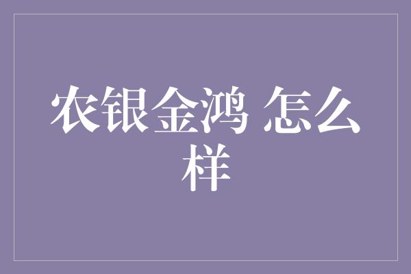 农银金鸿 怎么样