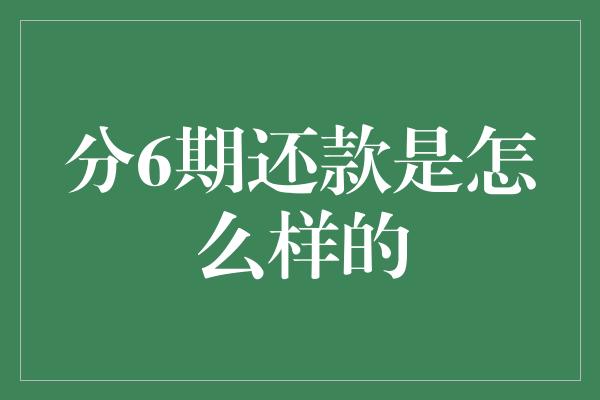 分6期还款是怎么样的