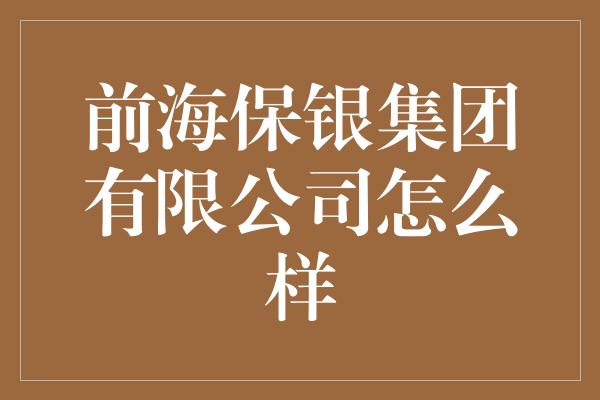 前海保银集团有限公司怎么样