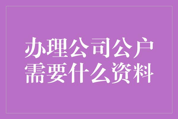 办理公司公户需要什么资料