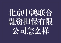 北京中鸿联合融资担保有限公司：金融风控服务新标杆