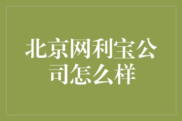 北京网利宝公司怎么样