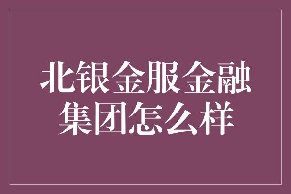 北银金服金融集团怎么样