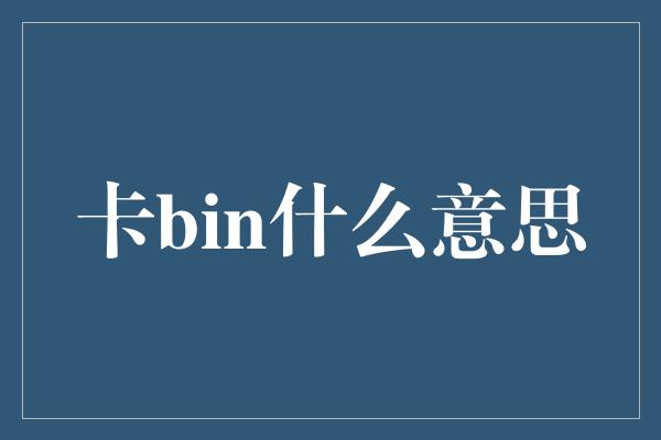 卡bin什么意思