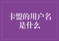 卡盟的神秘用户名：一场身份认证的荒诞之旅