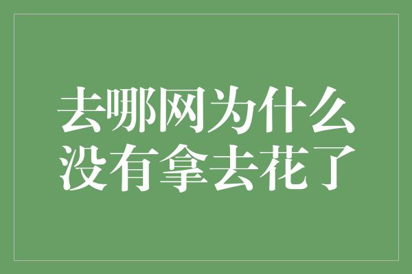 去哪网为什么没有拿去花了