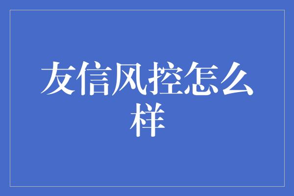 友信风控怎么样