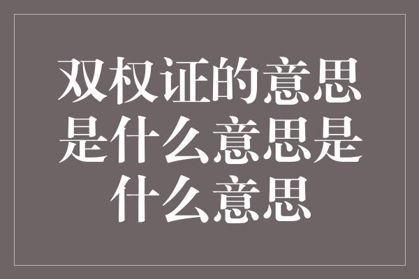 双权证的意思是什么意思是什么意思