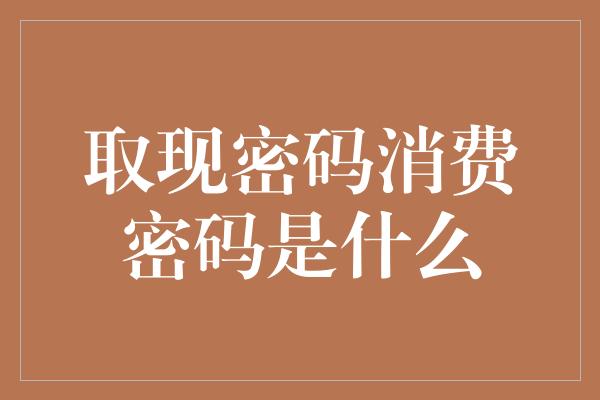 取现密码消费密码是什么