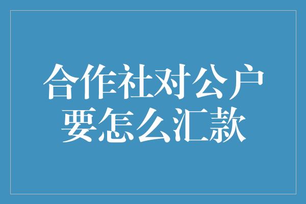 合作社对公户要怎么汇款