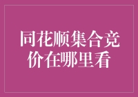 同花顺集合竞价的查看方式与策略应用分析