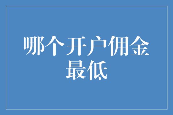 哪个开户佣金最低