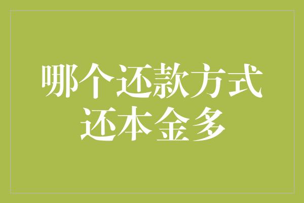 哪个还款方式还本金多