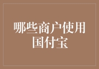 国付宝：哪些商户在使用这个支付解决方案？