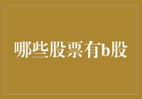 哪些股票有B股：全球视野下的投资机会与挑战