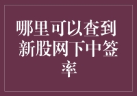 如何查询新股网下中签率：实用指南及专业建议