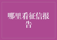 伴随数字化趋势的征信报告查询：专业平台与个人信用维护指南