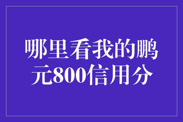 哪里看我的鹏元800信用分