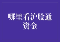 沪股通资金追踪攻略：从菜鸟到大师的奇幻之旅