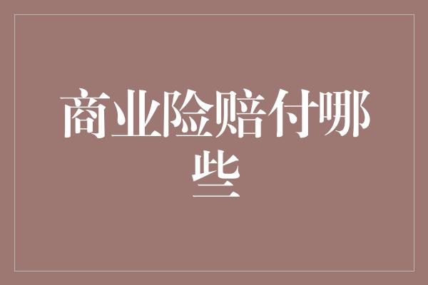 商业险赔付哪些