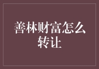 善林财富转让案例分析与合规转让策略探讨