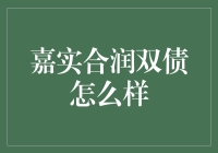 嘉实合润双债：穿越牛熊的债券投资新策略